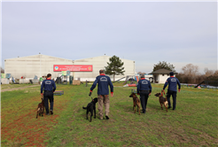 Reina, Ateş, Google ve Qill en zor anda ‘umut’ olmak için hep hazır kıta