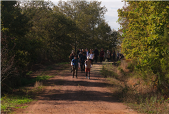 Tabiat aşıklarının Sakarya’daki klasiği sonbaharın muhteşem manzarasında başladı