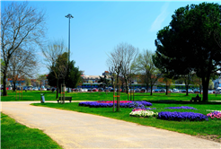 Sakarya’da baharın büyüleyici cümbüşü