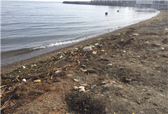 Göl çevresinden 10 poşet çöp toplandı