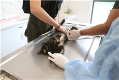 Büyükşehir, Ramazan Bayramı’na nöbetçi birimleriyle hazır