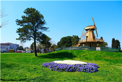 Sakarya’da baharın büyüleyici cümbüşü