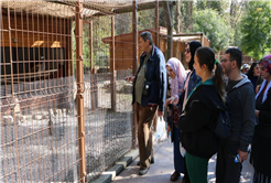 Özel bireyler doğayla iç içe bir gün geçirdi