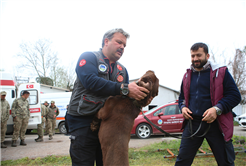 Büyükşehir öncü oldu: Canları kurtaracak köpekler en zor güne hazırlanıyor