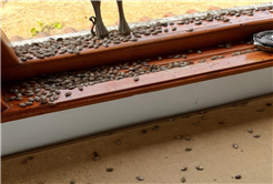 Evi görünce terk etmeyi düşündü: Binlerce kokarcanın istila kabusunu TUTSAK bitirdi