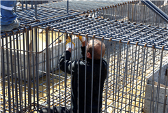 Şehrin en güneyinde sosyal hayatı canlandıracak proje Büyükşehirle yükseliyor