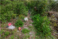 Sapanca Gölü’nün her bir karışı Büyükşehir’in takibinde: Tonlarca atık topladılar…