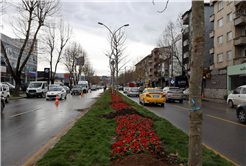 Büyükşehir’in ‘Yeşil Şehir’ vizyonu sahada: 3 ayda 2 bin 500 ağaç toprakla buluştu