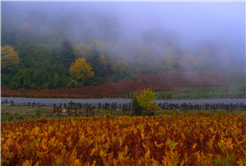 Sisler içindeki Kılıçkaya’da büyüleyici gün 