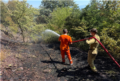 Kömürlük’teki orman yangını kontrol altında