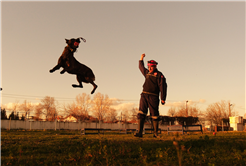 Reina, Ateş, Google ve Qill en zor anda ‘umut’ olmak için hep hazır kıta