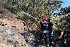 Kömürlük’teki orman yangını kontrol altında