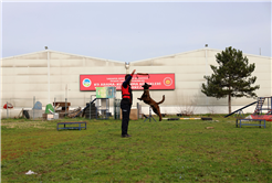 Reina, Ateş, Google ve Qill en zor anda ‘umut’ olmak için hep hazır kıta