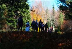 Sonbaharın büyüleyici renkleri arasında 14 kilometrelik unutulmaz rota