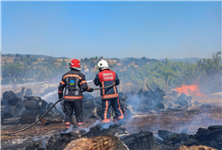 Büyükşehir'den acı gerçeği gözler önüne seren istatistik