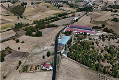 Söğütlü kırsalında ulaşıma konfor ve güven getiren çalışma: 4 mahalleye ulaşan hat sil baştan
