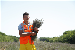 Dünyanın en büyük aromatik bahçesinde bahar bereketi
