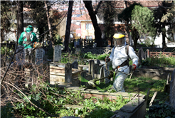 Büyükşehir 16 ilçeyi ‘bayramın en vefalı ziyaretine’ hazırlıyor