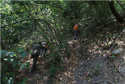 Büyükşehir alevlerin sardığı orman yangınlarında can dostlar için harekete geçti