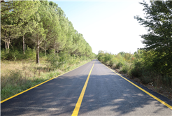 Söğütlü’de yenilenen grup yollarına vatandaşlardan tam not: “Modern bir hale kavuştu”