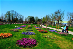 Sakarya’da baharın büyüleyici cümbüşü