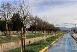 Büyükşehir’in ‘Yeşil Şehir’ vizyonu sahada: 3 ayda 2 bin 500 ağaç toprakla buluştu