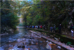 Kuzeyin tabiat harikaları arasında unutulmaz bir sonbahar yürüyüşü
