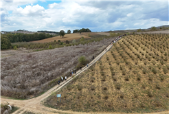 Yaylalardan longoz ormanlarına: Sakarya’da doğayla iç içe sonbahar