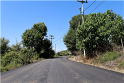 Büyükşehir, Kaynarca’yı sıcak asfalt konforuyla buluşturmaya devam ediyor