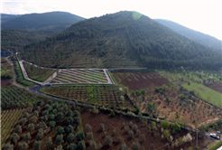 Mezarlıklara yeni düzenleme