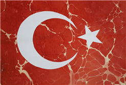 Büyükşehir, öğrencilerle milli marşı andı