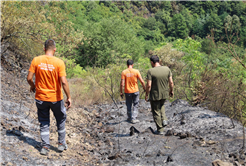 Büyükşehir alevlerin sardığı orman yangınlarında can dostlar için harekete geçti