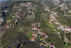 Akyazı’nın kırsalına giden yollar Büyükşehirle güzelleşti