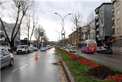 Büyükşehir’in ‘Yeşil Şehir’ vizyonu sahada: 3 ayda 2 bin 500 ağaç toprakla buluştu