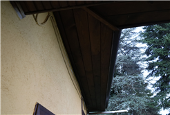 Evi görünce terk etmeyi düşündü: Binlerce kokarcanın istila kabusunu TUTSAK bitirdi