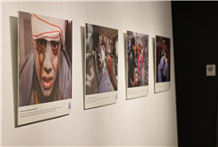  ‘Tanık’ sergisi OSM’de açıldı: 26 Ekim’e kadar ziyaret edilebilecek