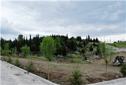 Mezarlıklarda kapsamlı çalışma