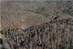 Yaylalardan longoz ormanlarına: Sakarya’da doğayla iç içe sonbahar