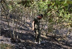 Büyükşehir alevlerin sardığı orman yangınlarında can dostlar için harekete geçti