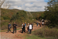 Tabiat aşıklarının Sakarya’daki klasiği sonbaharın muhteşem manzarasında başladı