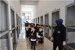 Sevgi dolu buluşma: Can dostların yeni dünyasına hayran kaldılar