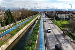 Büyükşehir’in ‘Yeşil Şehir’ vizyonu sahada: 3 ayda 2 bin 500 ağaç toprakla buluştu