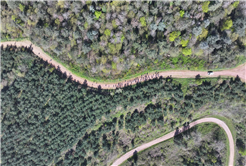 10 kilometre boyunca gördükleri her bir ayrıntıya hayran kaldılar