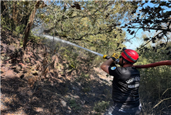 Büyükşehir İtfaiyesi yangın bölgelerinde tüm gücüyle müdahalede