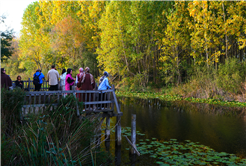 Kuzeyin tabiat harikaları arasında unutulmaz bir sonbahar yürüyüşü