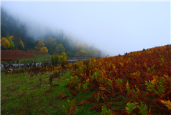 Sisler içindeki Kılıçkaya’da büyüleyici gün 