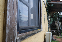 Evi görünce terk etmeyi düşündü: Binlerce kokarcanın istila kabusunu TUTSAK bitirdi