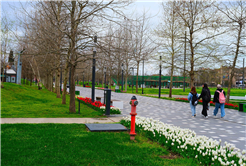 Sakarya’da baharın büyüleyici cümbüşü