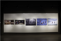 Dünyanın hafızası Sakarya’da buluştu