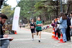 Sapanca’da Bahar Koşusu heyecanı: 700 sporcu Huzur Koridoru’nda buluştu